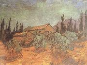 Vincent Van Gogh Wooden Sheds (nn04) oil